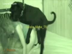 This amazing beastiality footage shows a large dog fucking a mother who says, "I'd like to fuck you."